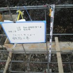 kt14
