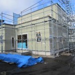 tm1
