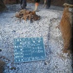 根掘り・砂利転圧工事中