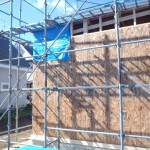外部構造用合板