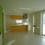 IMG_0011 (2)