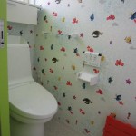 IMG_0031 (2)