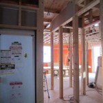 IMG_0003 (3)