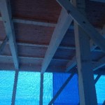 IMG_5556