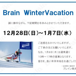 Brain WinterVacation