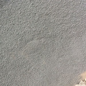 IMG_0206