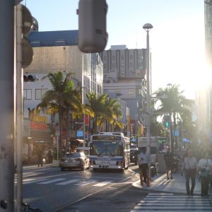 春の朝、家の中で感じること。